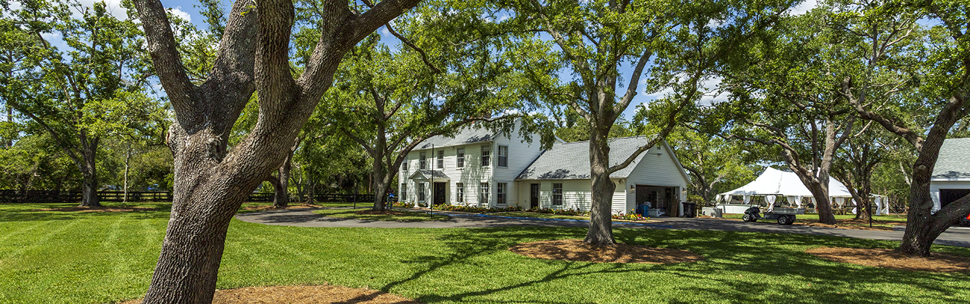 Reviving a Lowcountry Estate for a Dream Wedding