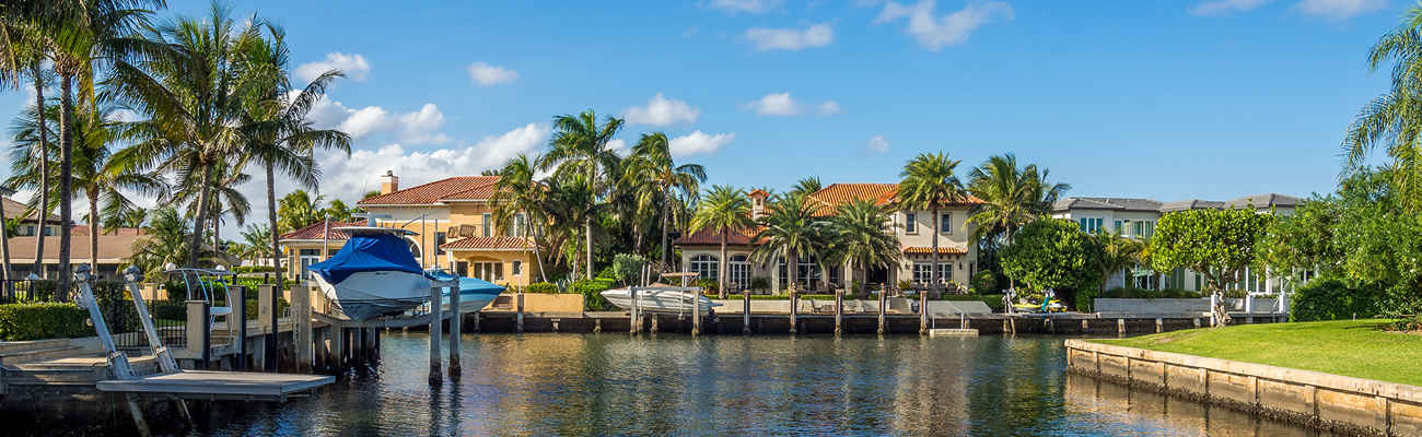 Arboricultural Consulting & Tree Services in Siesta Key